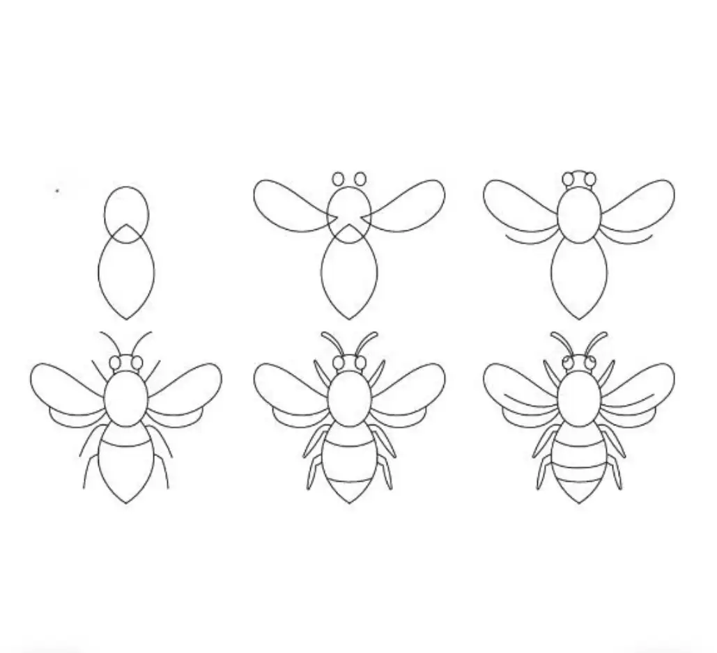 Simple easy cute bee drawing step by step for kids and beginners with pencil &mdash; 6 steps