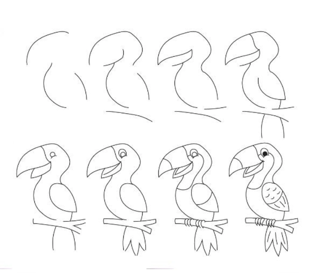 Cool simple easy toucan bird drawing step by step for beginners with pencil &mdash; 8-step tutorial