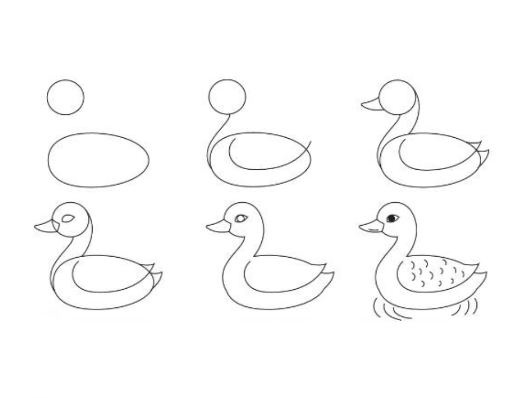 Simple easy duck drawing step by step for kids and beginners with pencil &mdash; 6-step tutorial