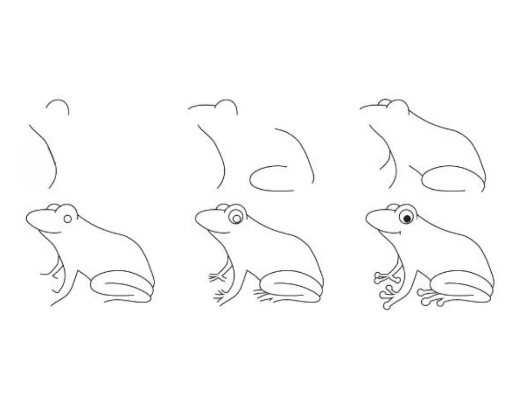 Simple and easy frog drawing step by step for kids and beginners with pencil &mdash; 6 steps