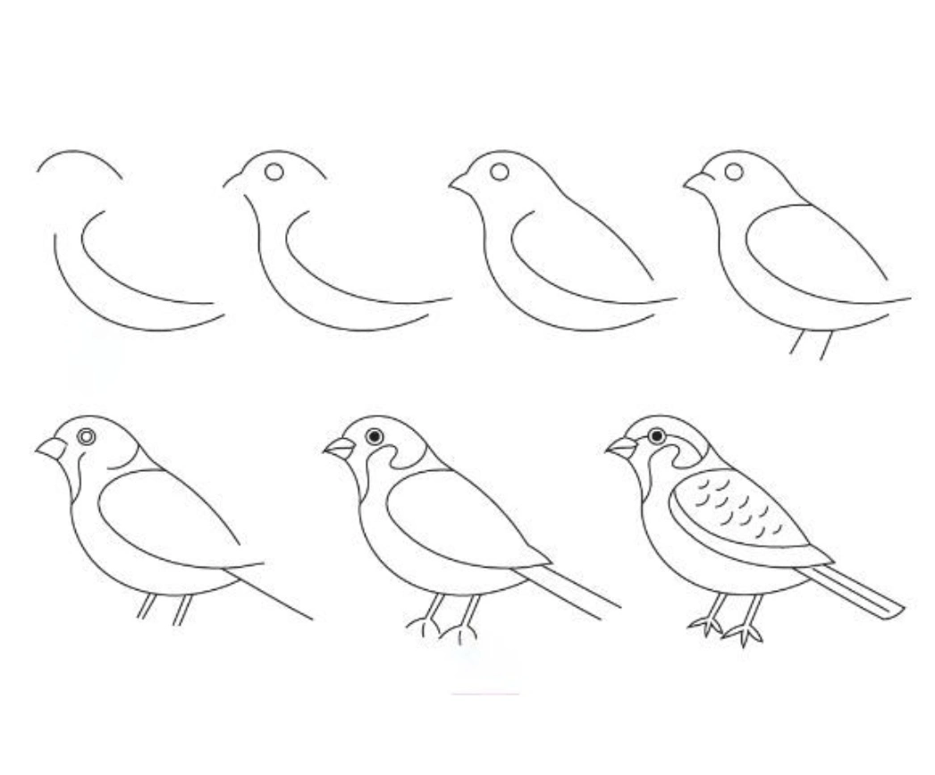 Simple easy sparrow bird drawing step by step sketch for beginners with pencil &mdash; 7 steps