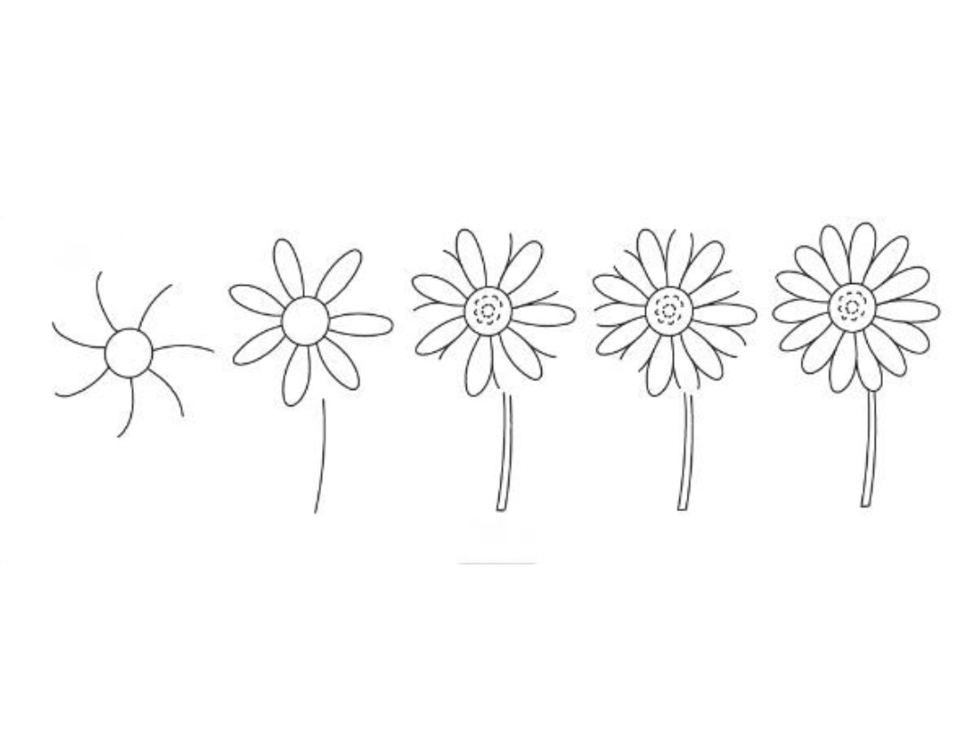 Easy simple sunflower pencil drawing for beginners step by step &mdash; beginner flower design with shading