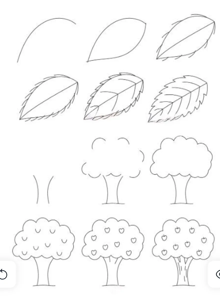 Aesthetic simple easy tree and leaf drawing step by step for beginners with pencil &mdash; botanical tutorial